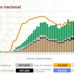 ¡Drones-Lanzallamas! Crean drones letales para QUEMAR nidos de avispas en China: VIDEO