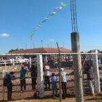 Reduce IMSS atención a padecimientos no Covid