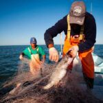 López Obrador respeta veda electoral y supervisa obras en Veracruz