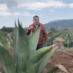 Economía de México creció 4% en junio pasado, destaca AMLO