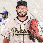 Llama Bedolla a seguir recomendaciones para reforestar después del 20 de julio