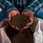 Rehabilitación de la calle 18 Oriente ampliará su alcance: Ayuntamiento