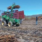 Cynthia de la Vega llega con nuevos retos a Miss Universo México