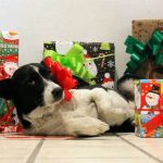 Luis Suárez, Messi y su llegada al Inter Miami: “Leo no me presiona aún para que vaya”