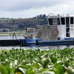 Demandan senadores del PT que la SEP ayude a agilizar denuncias de violencia intrafamiliar