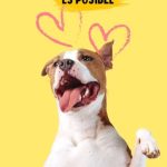 Fallecen cinco poblanos por enfermedades respiratorias