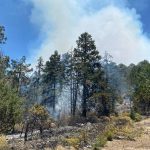 Superfan de los Kansas City Chiefs, “ChiefsAholic”, acusado de robar bancos, deberá pagar 10,8 mdd a cajera