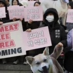 Bibliotecas de Tehuacán pierden la batalla contra el Internet