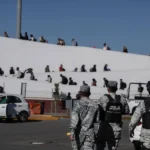 Sector avícola, en alerta pero sin casos de gripe aviar H5N1