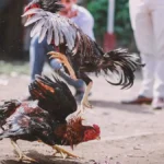 Operarios en helicóptero y a caballo buscan a desaparecidos en inundaciones en Texas