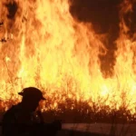 “La Barredora” se expande en Puebla pese a operativos y 46 detenidos