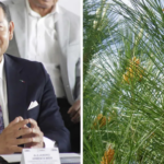 Trump habla sobre conversación con Sheinbaum y Carney