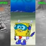 Operación Castor: cómo unos roedores se convirtieron en los héroes inesperados de un rescate épico